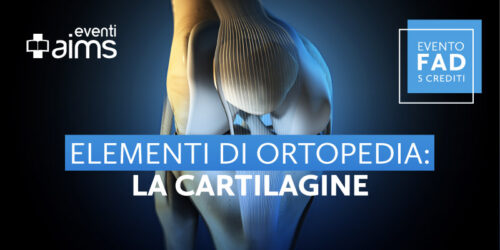 Elementi di ortopedia: Cartilagine